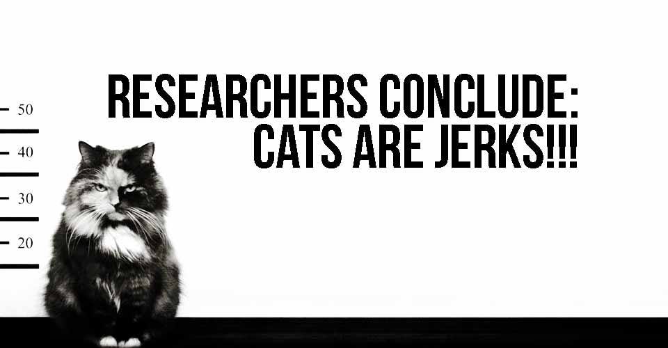 cats-are-jerks.jpg