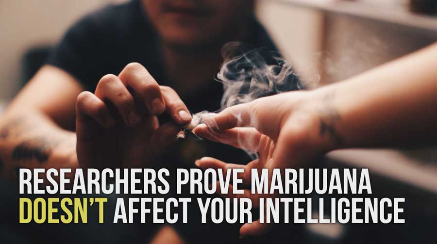 Researchers Prove Marijuana Doesn’t Affect Your Intelligence