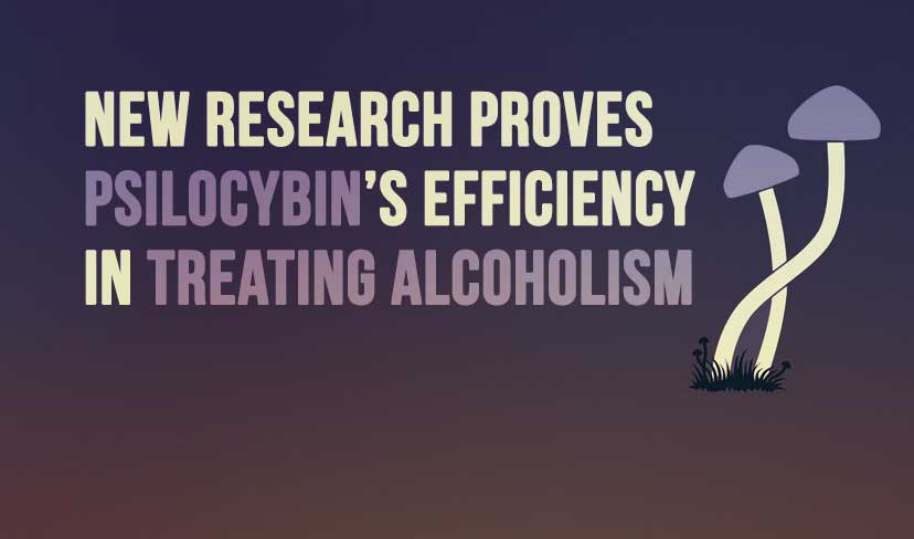 New Research Proves Psilocybin’s Efficiency in Treating Alcoholism