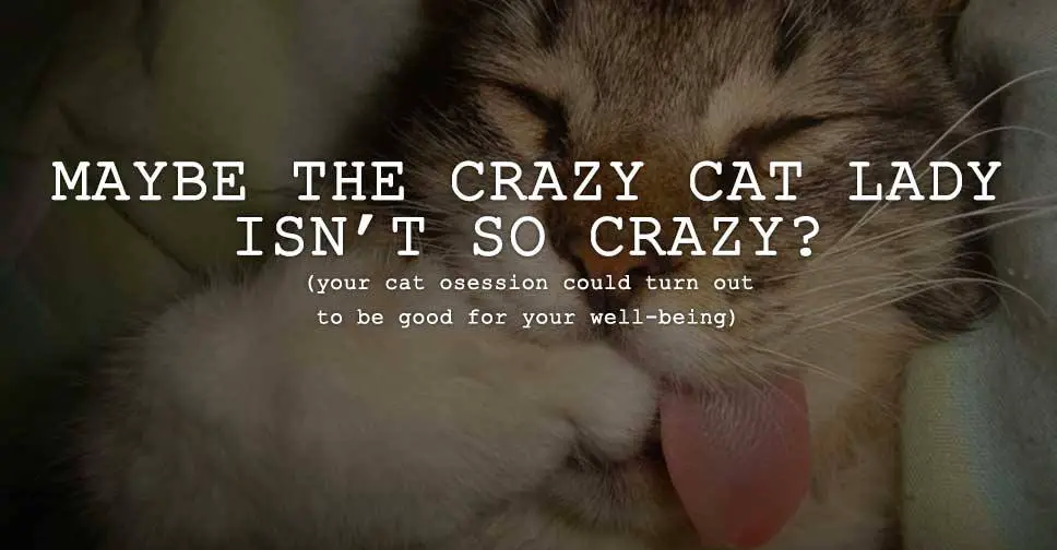 Maybe the Crazy Cat Lady Isn't So Crazy?