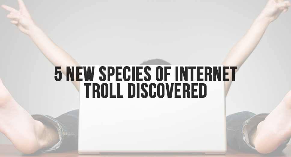 internet troll
