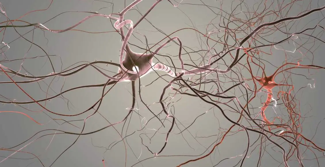 The Treatment of a Single Nerve has the Potential to Completely Change Modern Medicine