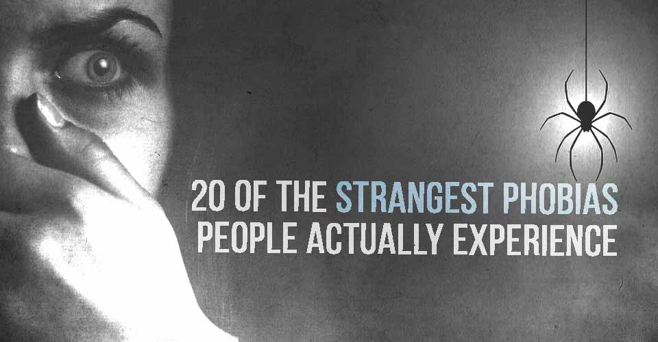 haphephobia hair Strangest   Experience Actually of People Phobias the 20 I