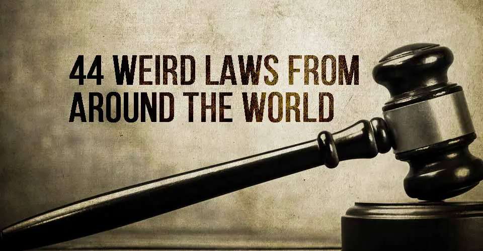 44 Weird From Around The World