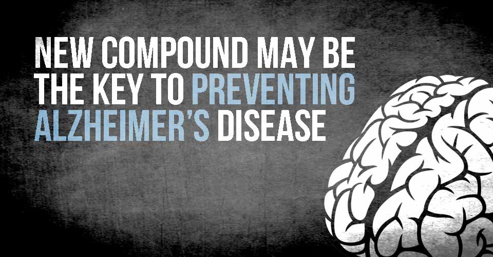 New Compound may be the KEY to Preventing Alzheimer's Disease