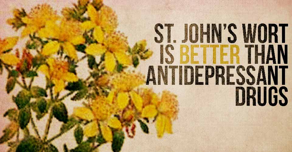 St. John's Wort is Better Than Antidepressant Drugs