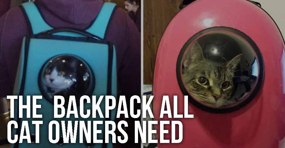 The Backpack All Cat Owners Need