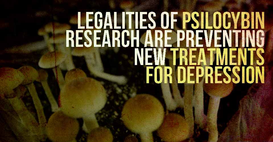 Legalities of Psilocybin Research are Preventing New Treatments for Depression