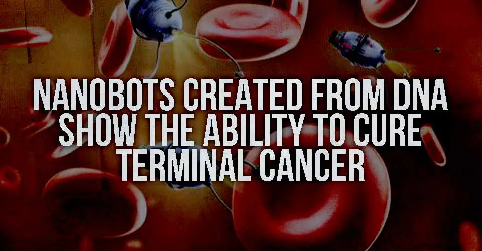 Nanobots Created from DNA Show the Ability to Cure Terminal Cancer