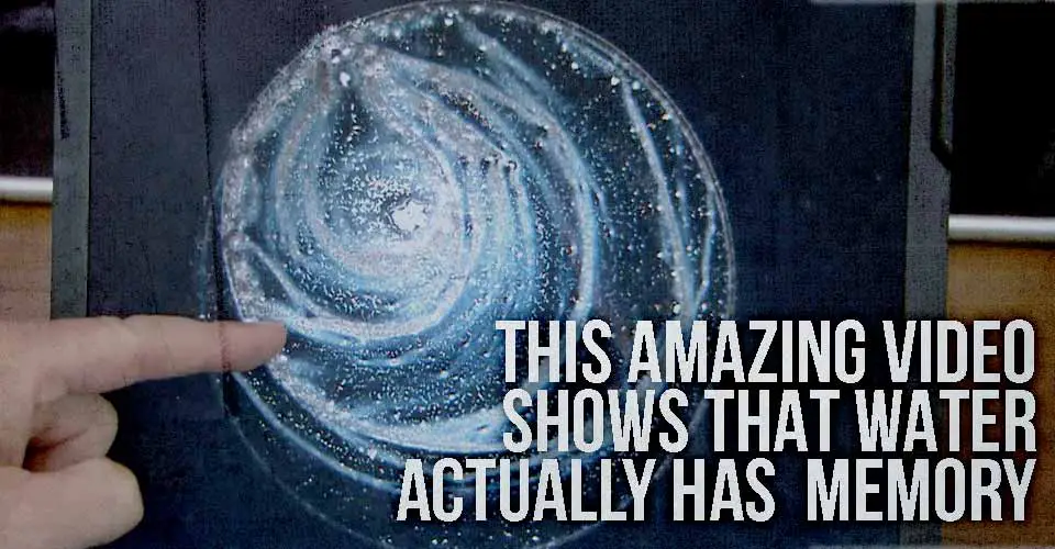 This Amazing Video Shows that Water Actually has Memory