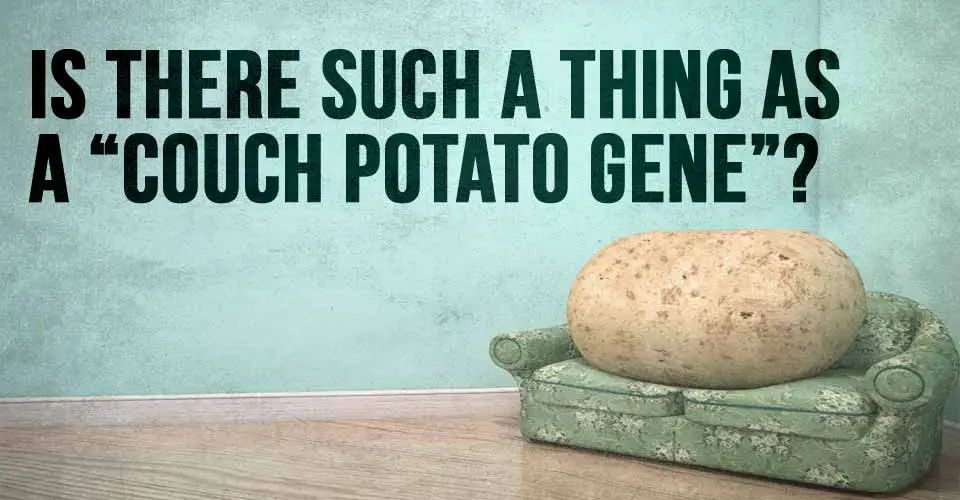 Is There Such a Thing as a "Couch Potato Gene"?