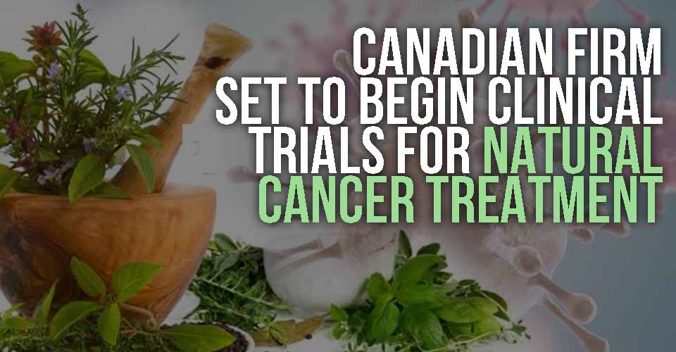 Canadian Firm Set to Begin Clinical Trials for Natural Cancer Treatment