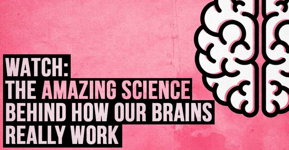 WATCH: The Amazing Science Behind How our Brains Really Work