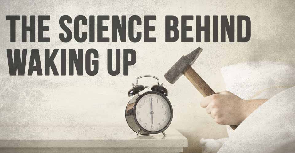 The Science Behind Waking Up