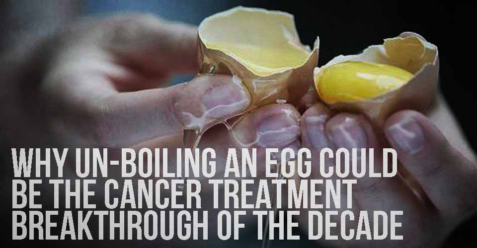 Why UnBoiling an Egg Could Be the Cancer Treatment Breakthrough Of the