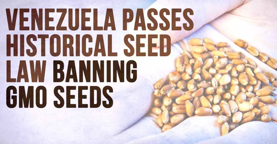 Venezuela Passes Historical Seed Law Banning GMO Seeds