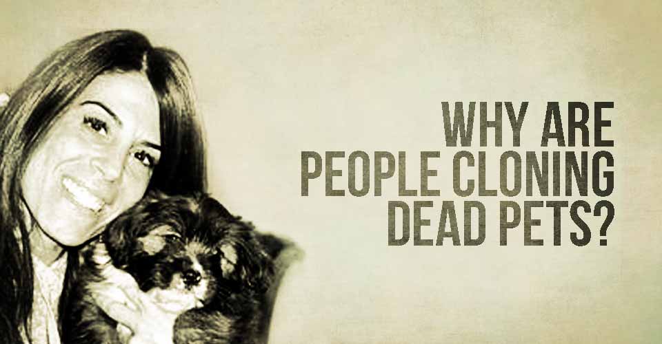 Why are People Cloning Dead Pets?
