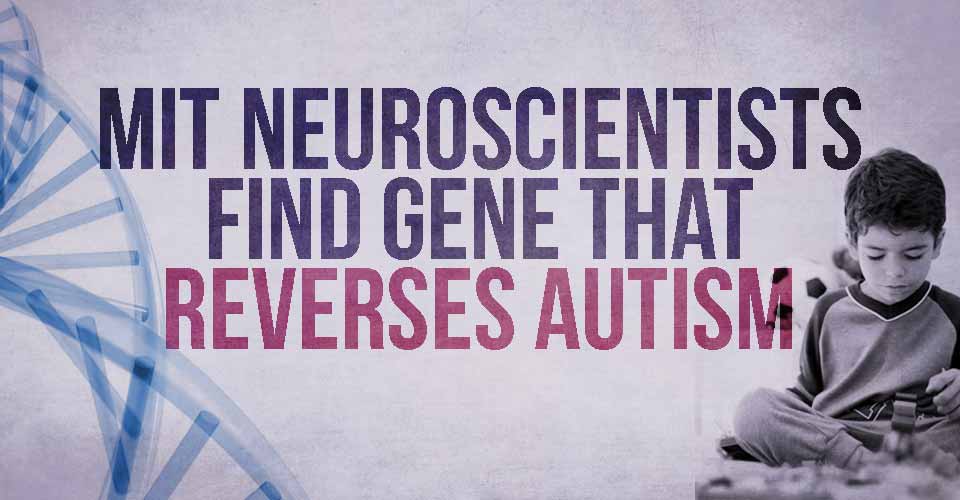 MIT Neuroscientists Find Gene that Reverses Autism