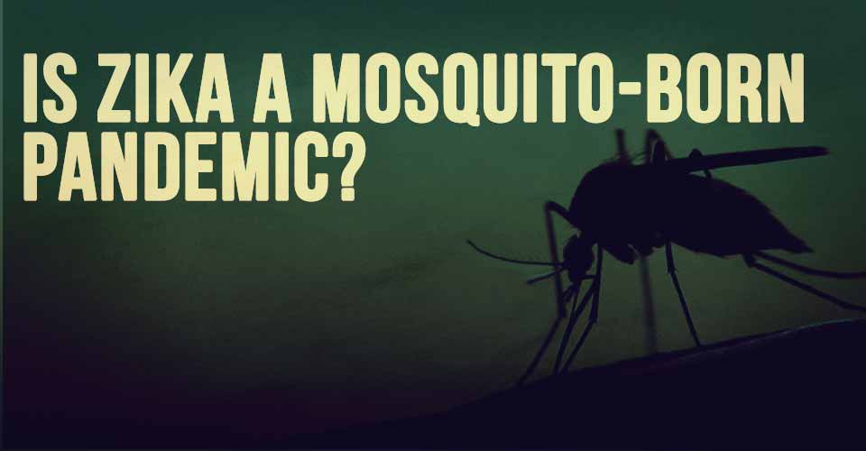 Is Zika A Mosquito-Born Pandemic?