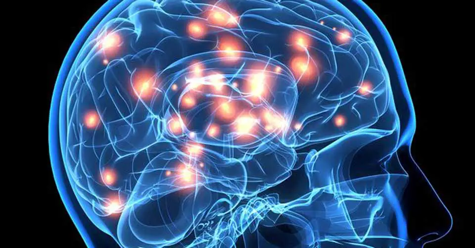 15 Facts About The Brain You Probably Didn't Know!