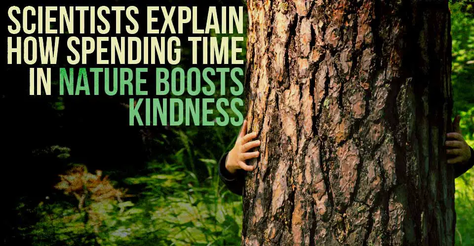 Scientists Explain How Spending Time In Nature Boosts Kindness