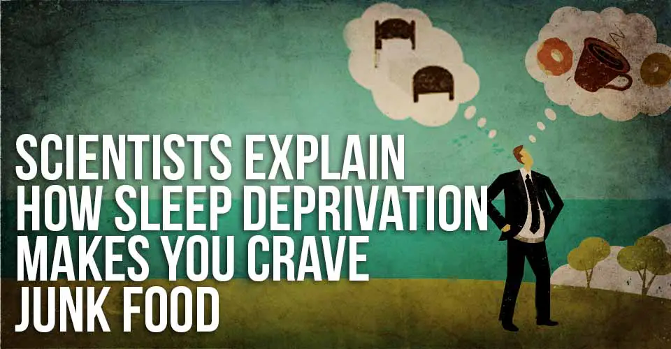 Scientists Explain How Sleep Deprivation Makes You Crave Junk Food