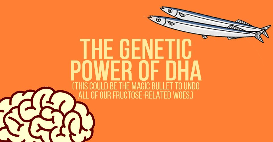 The Genetic Power Of DHA