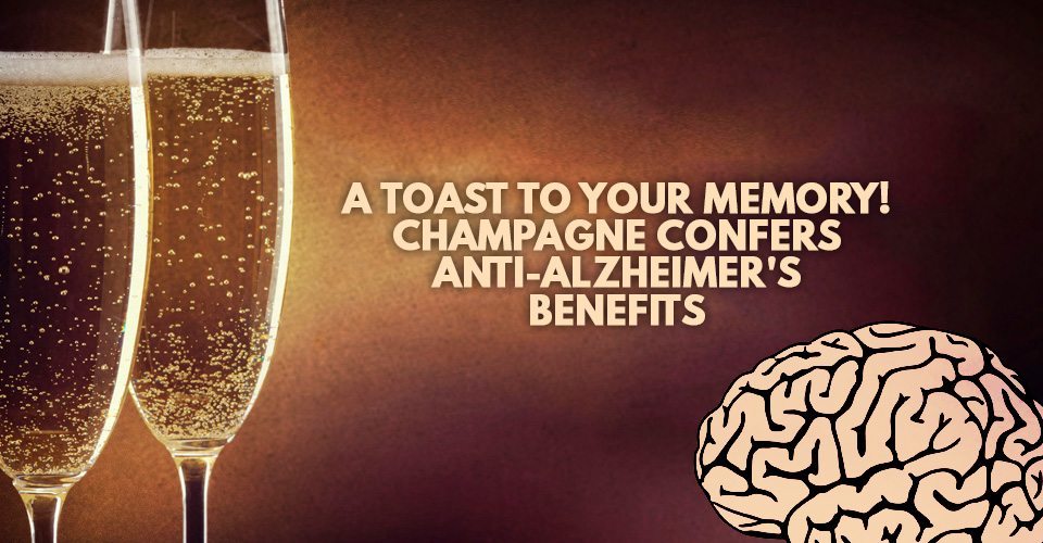A Toast To Your Memory! Champagne Confers Anti-Alzheimer's Benefits