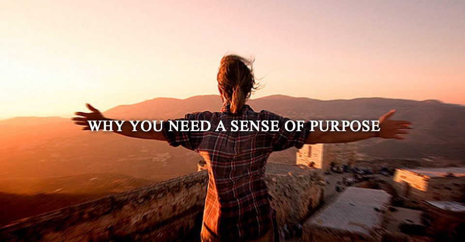 Why You Need a Sense of Purpose