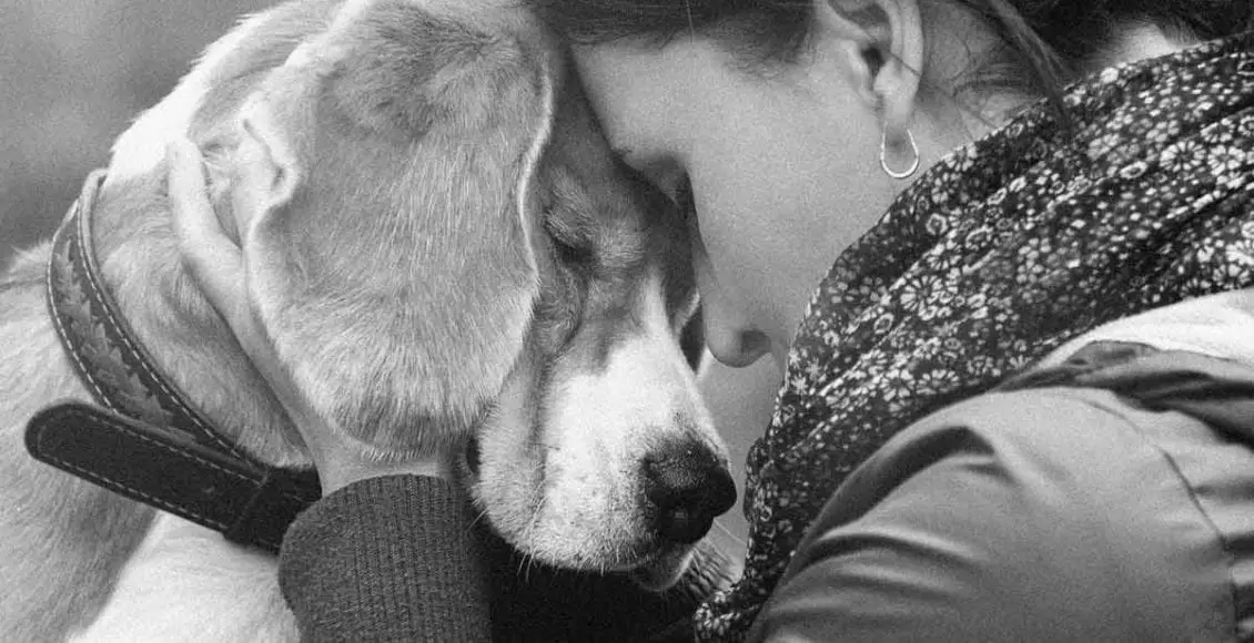 Why Dogs Are The Best Friends Of People With Mental Conditions