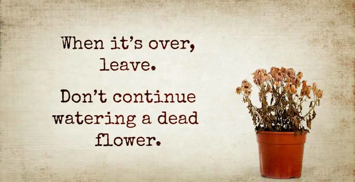 You Shouldn't Fear Painful Split-Ups Because They Could Be a Stepping Stone to a Lifelong Love