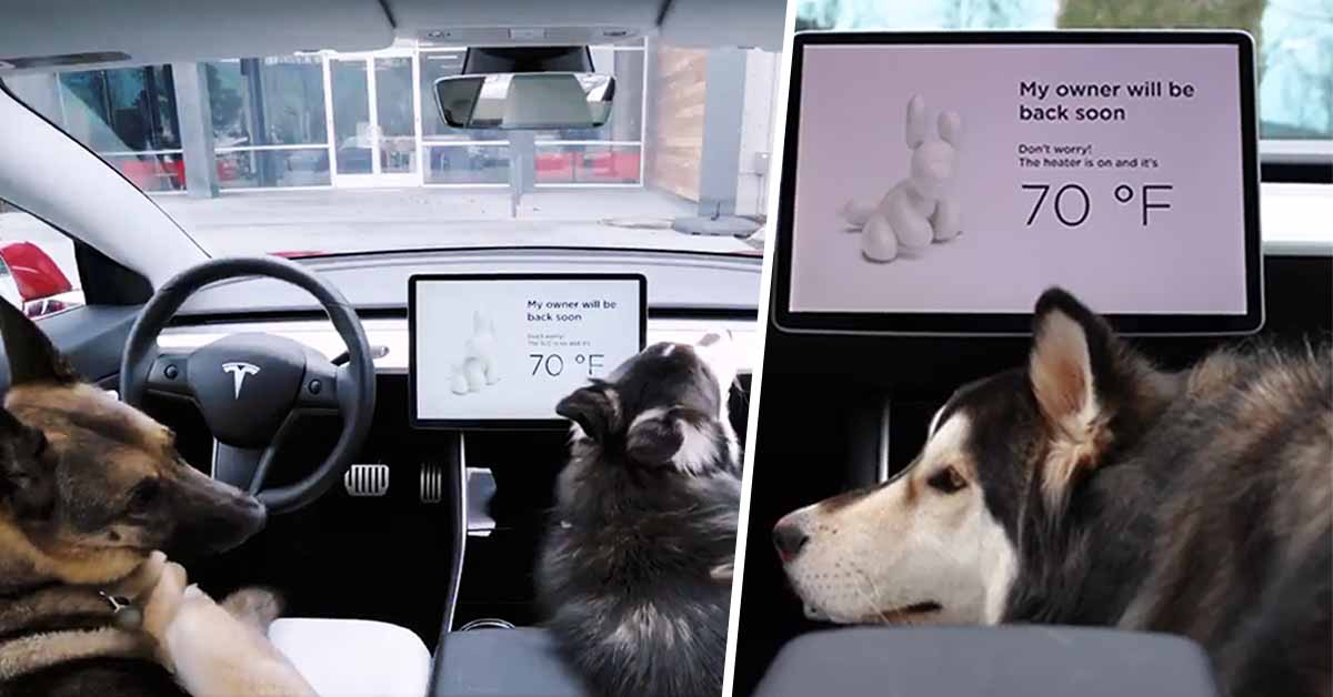 Something New From TESLA For All Dog Owners