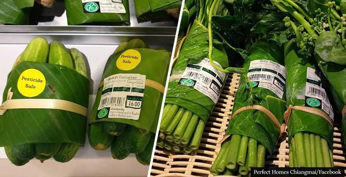 Asian Supermarkets Use Banana Leaves Instead of Plastic Bags And The Results Are Stunning!