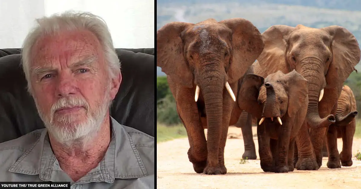 The Hunter Who Killed 5000 Elephants, 60 Lions and 50 Hippos 'Totally Unrepentant'
