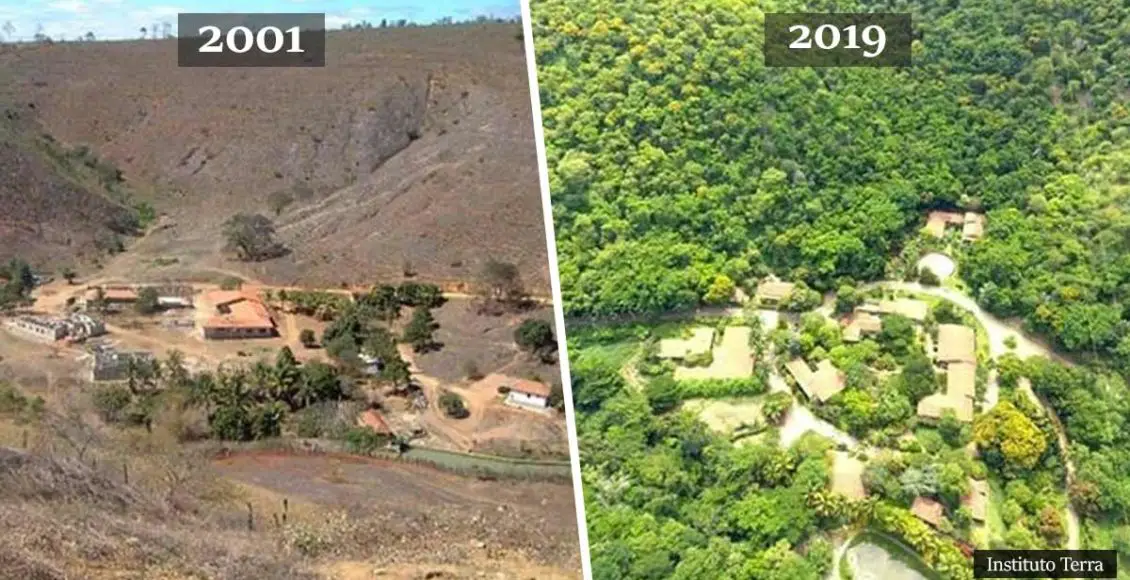 Brazilian Coupe Reforest Their Family Estate To Build a Sanctuary For 500 Endangered Species