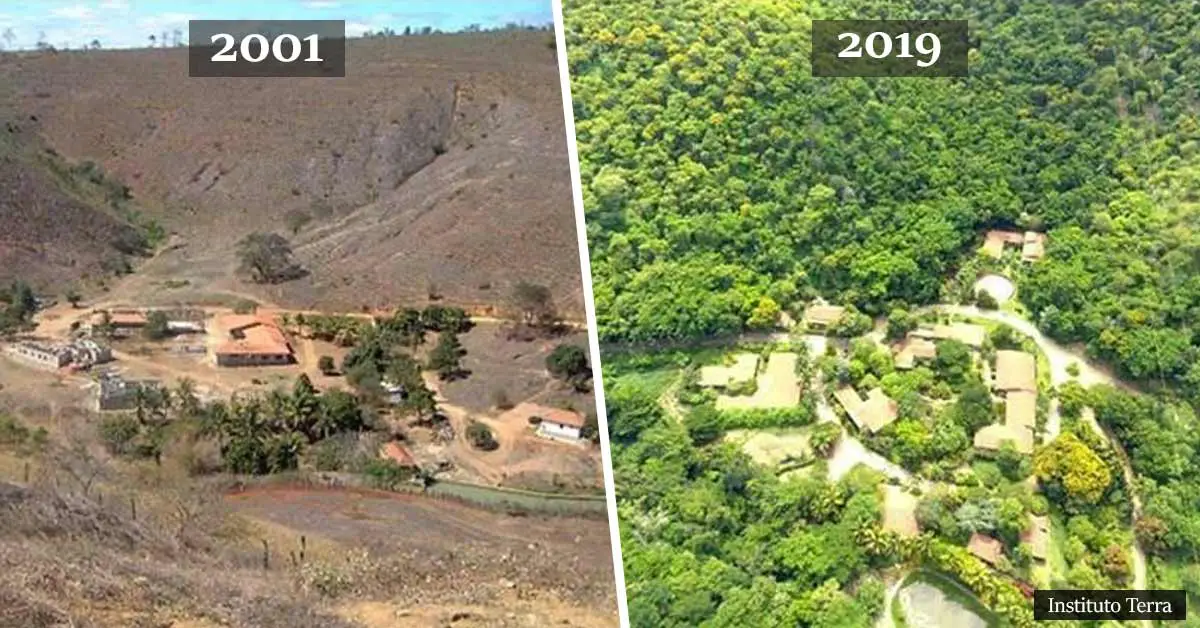 Brazilian Coupe Reforest Their Family Estate To Build a Sanctuary For 500 Endangered Species