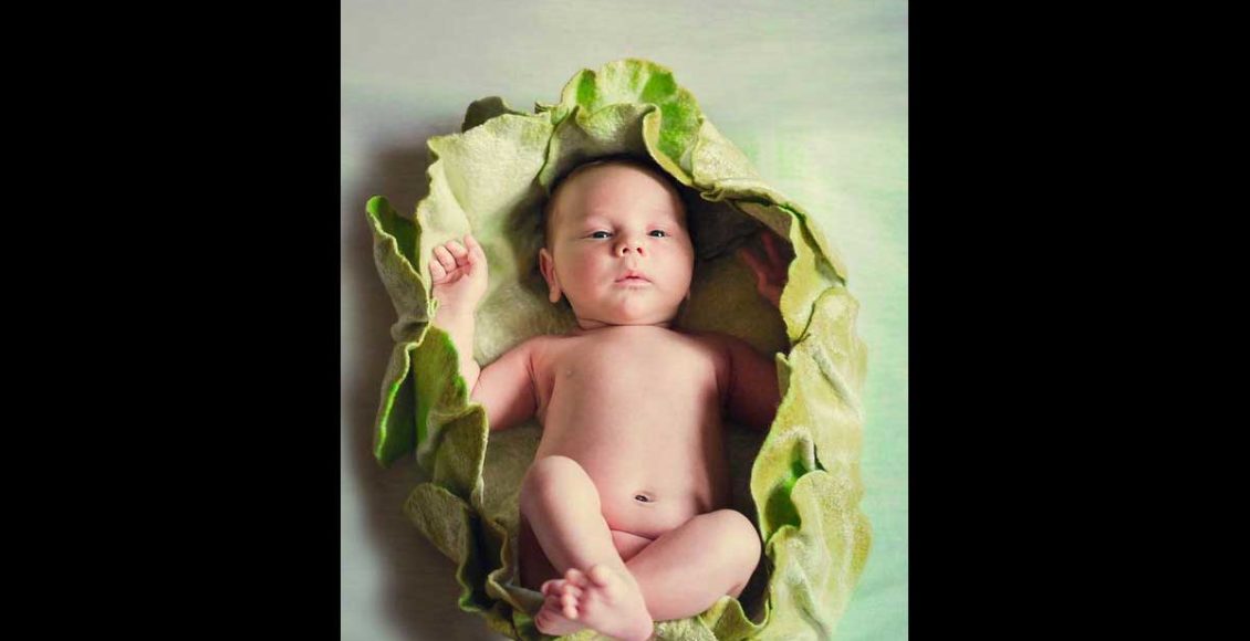 Not All a Bed of …Cabbages? Surrogacy Ukraine Experiences Difficulty
