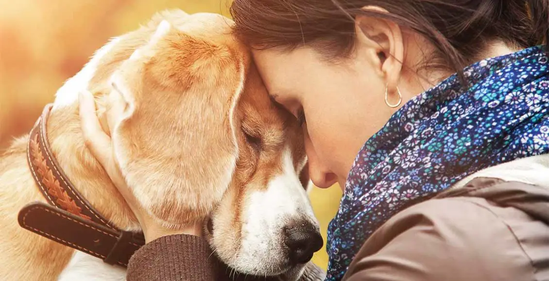 7 Ways Emotional Support Animals Help Us Cope And Recover