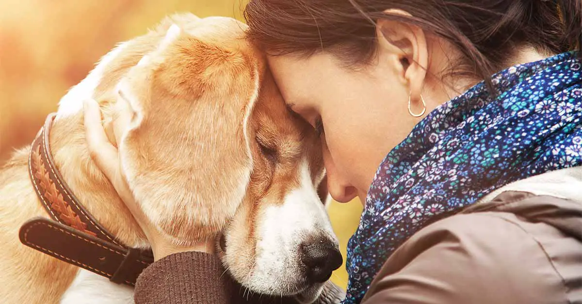 7 Ways Emotional Support Animals Help Us Cope And Recover