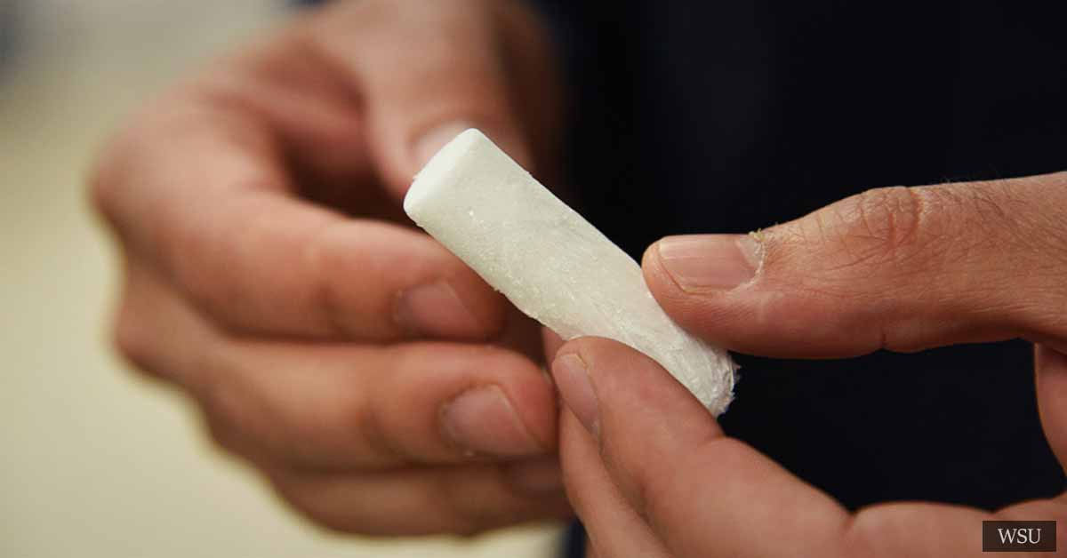 Researchers Create Environmentally-Friendly Alternative To Styrofoam