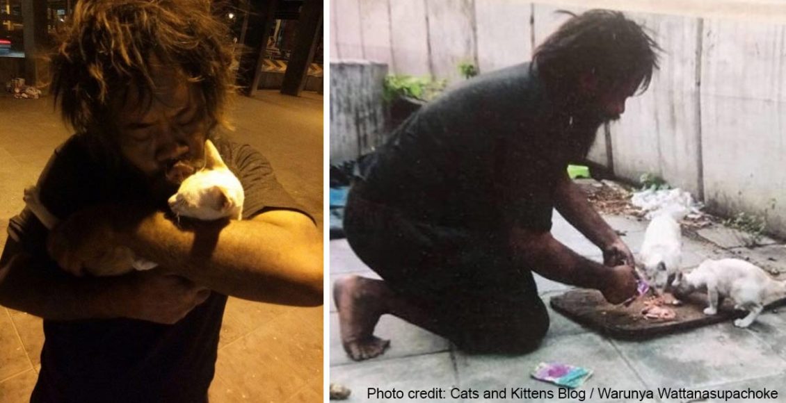 Homeless man sells lime to feed stray cats