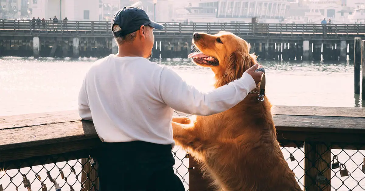 Science has now concluded that talking to your pets means that you're intelligent, not crazy