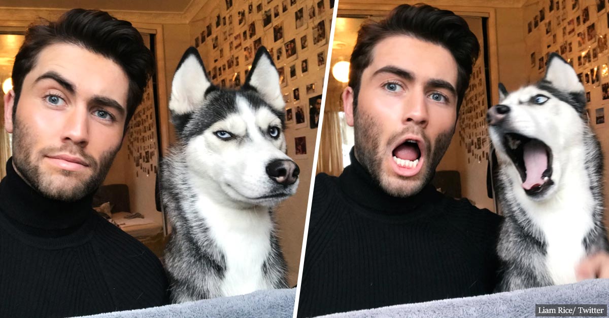 This endearing 'twinning' trend that one man and his dog started will make your day!