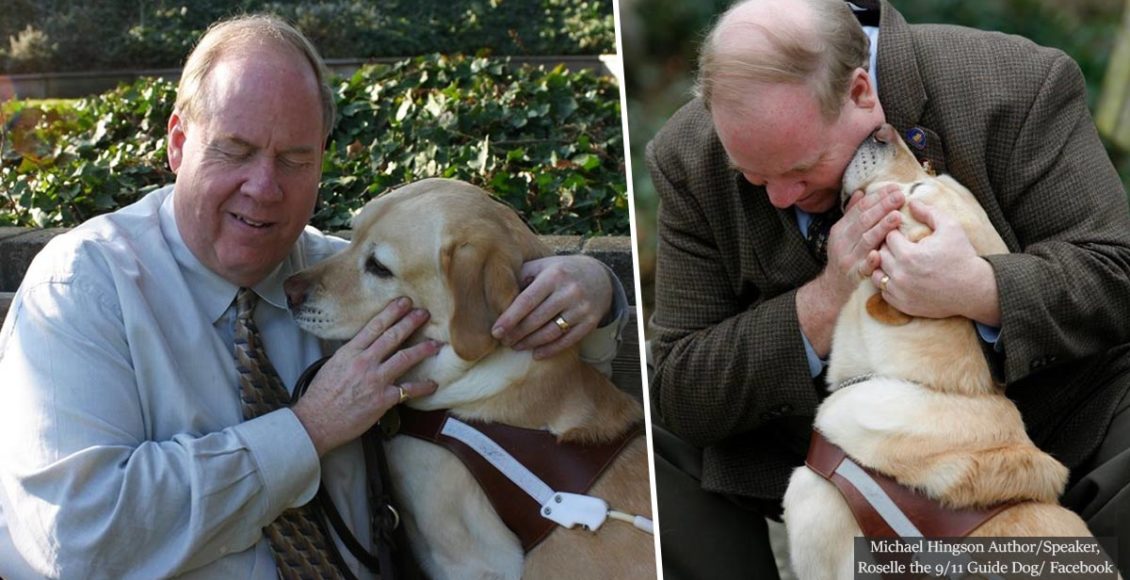 The loving guide dog who saved her blind owner from certain death on 9/11