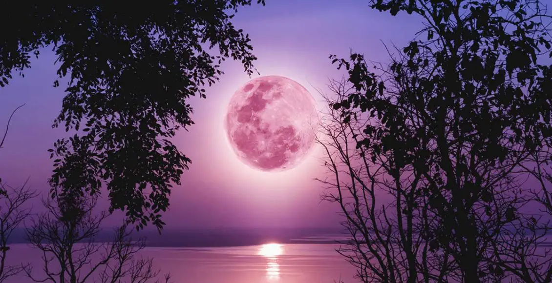 New Moon is rising in Libra: Dramatic energy shift clears the air for romance on September 28, 2019