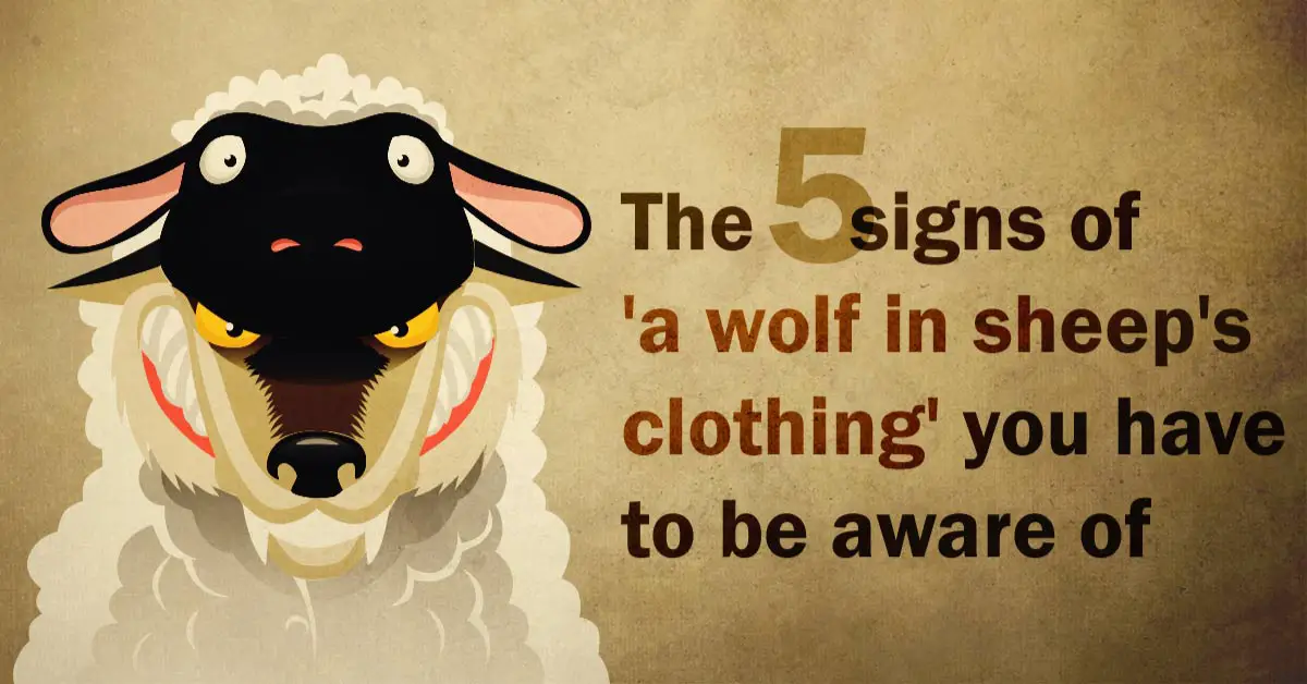 Wolf in sheep s clothes. Wolf in Sheep's Clothing. Wolf in Sheep's Clothing meaning. A Sheep in Wolf's Clothing фанфик. A Wolf in Sheep's Clothing трек.