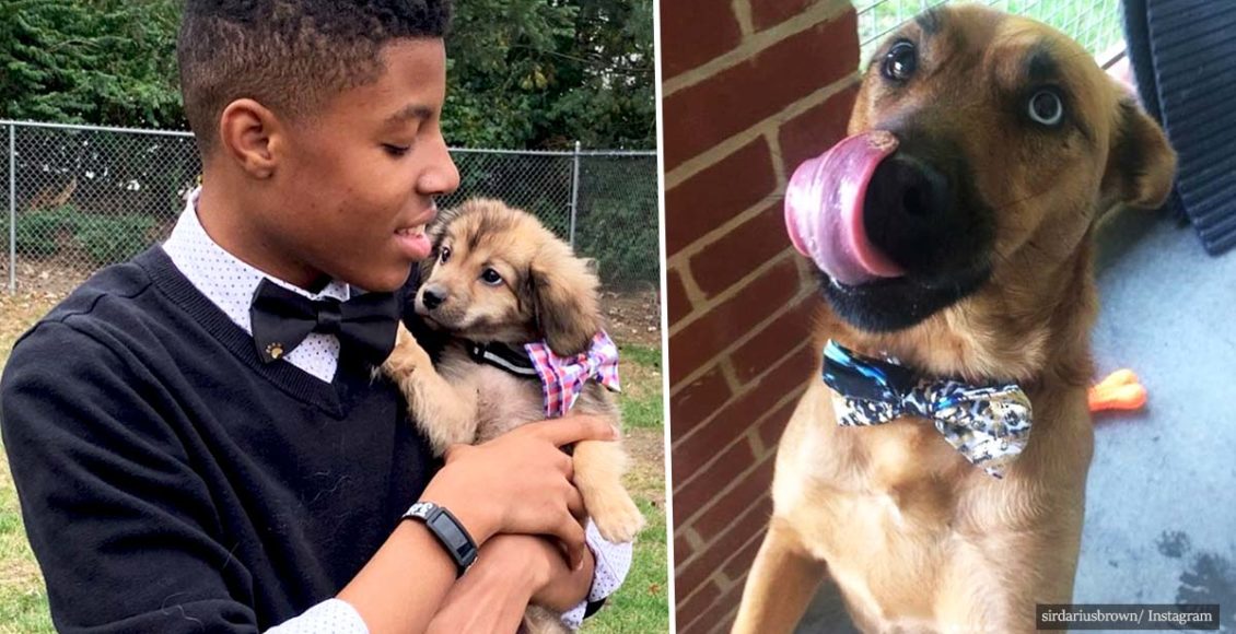12-year-old creates bow ties for shelter animals to help them find homes