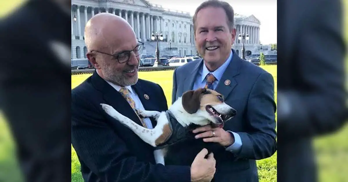 House passes new bill that would make cruelty towards animals a federal crime