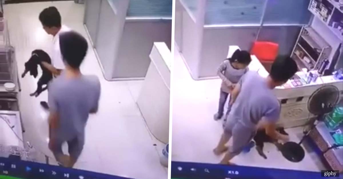 Man ruthlessly hurls his little dog to the floor after seeing the expensive vet bill