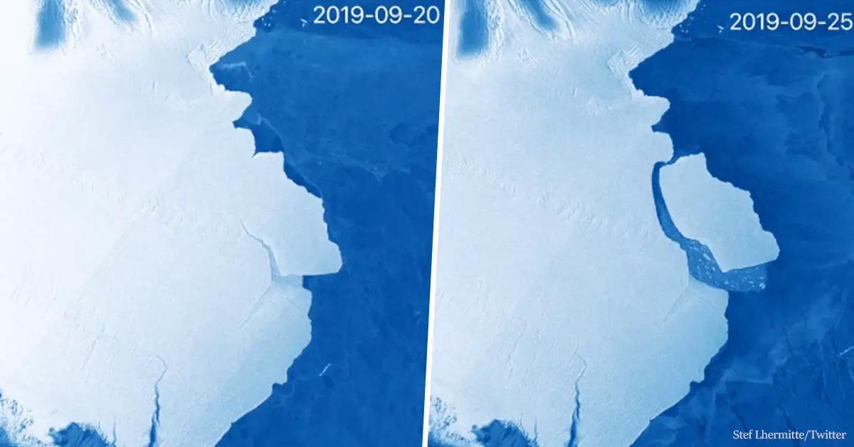 Massive 315 billion-tonne iceberg breaks off Antarctica
